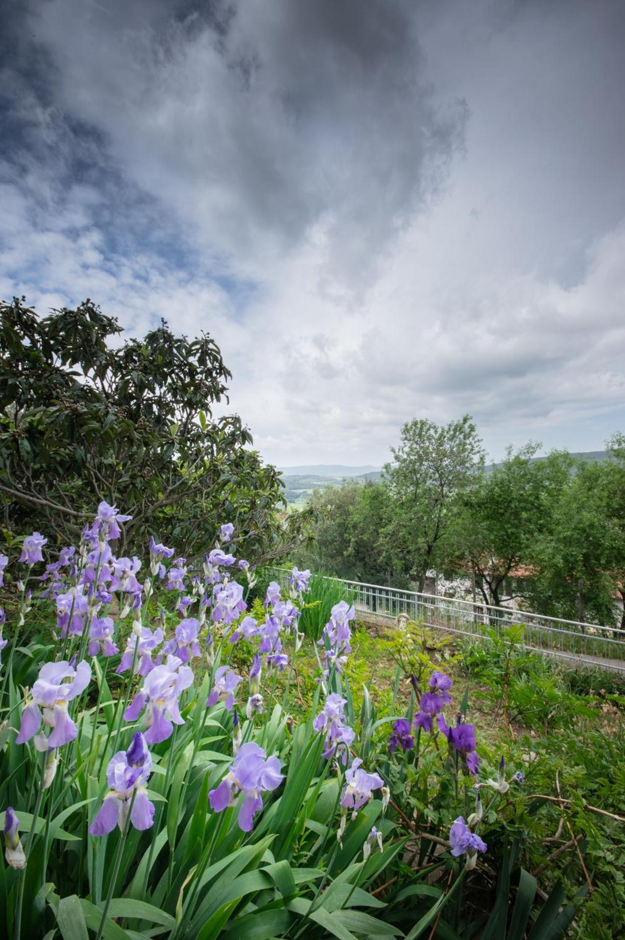 Villa Panoramica Garden Bike มัสซามาริตติมา ภายนอก รูปภาพ